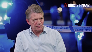 Carl Hamilton om politiska misslyckanden